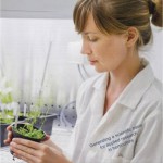 Елена Порецкая, аспирант, лаборатория регуляции роста растений, Мюнхенский технический университет (Германия)