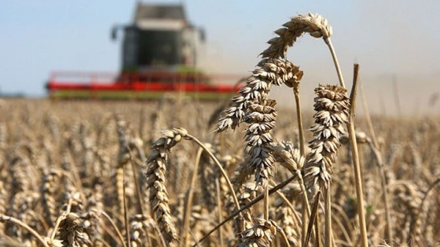 Украинские аграрии требуют антимонопольного расследования на отечественном рынке удобрений