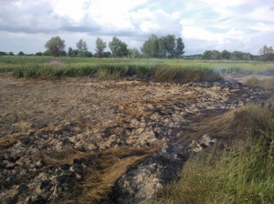 На Полтавщине горят торфяники. Жертв и пострадавших нет