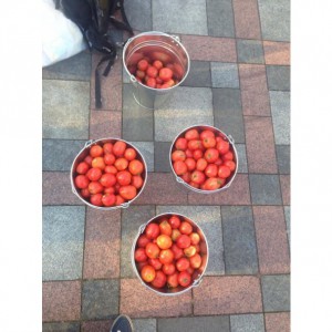 Кабмин одобрил инвестиции в переработку томатов