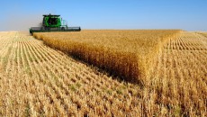 Инвестиции в сельское хозяйство превысили 17 млрд грн