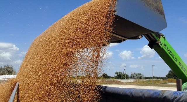 Украина готова нарастить продажу зерновых Турции