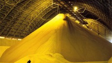 Порти України: за 11-14 лютого спостерігається рекордний експорт зернових