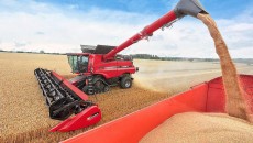 Аграрии нарастили экспорт зерновых на 20%