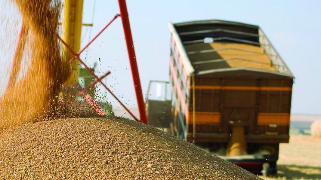 Аграрии намолотили 60 млн тонн зерна