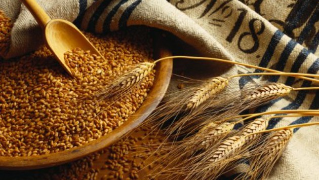 Кувейт заинтересовался украинским зерном