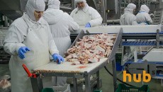 Украина возобновляет экспорт курятины в ЕС