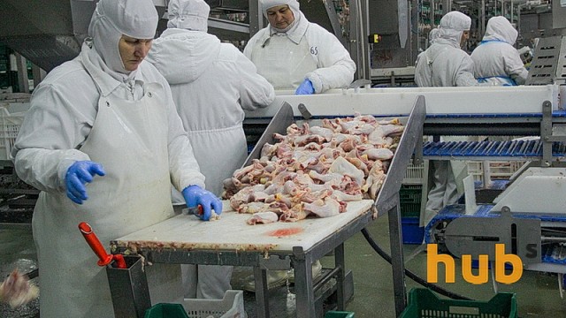 Украина ограничила импорт мяса птицы из Польши