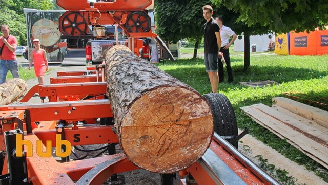 ЕБРР дает кредит полякам для обработки украинской древесины