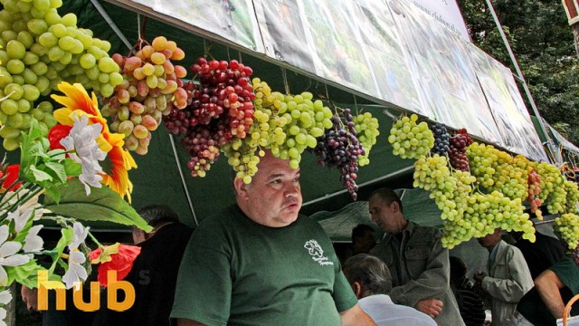Украина экспортировала ягод на более чем $100 млн