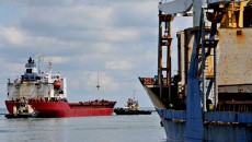 Одесский порт нарастил сухую перевалку на 6,4 % за полгода
