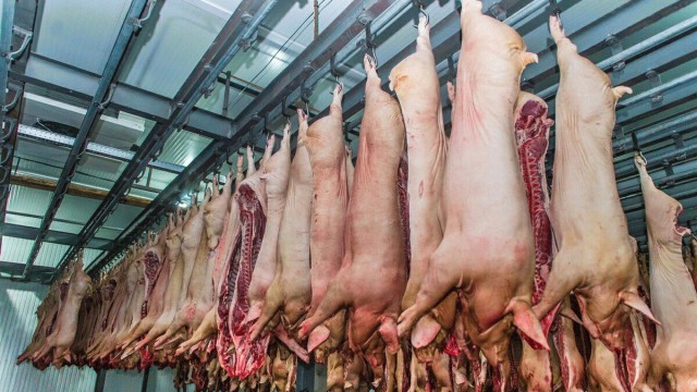 На Тернопольском мясокомбинате начат выпуск охлажденного мяса