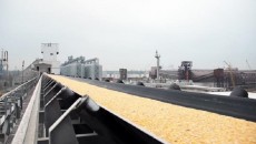 Терминал «Ника-Тера» осуществил перевалку 2 млн 115,6 тыс. тонн грузов