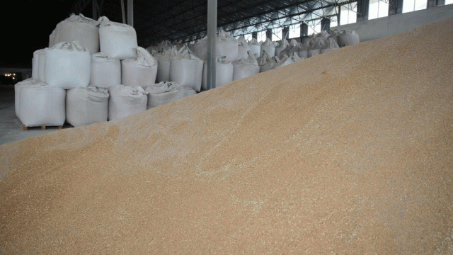 «Агропродсервис» в три раза увеличил объемы продажи зерновых
