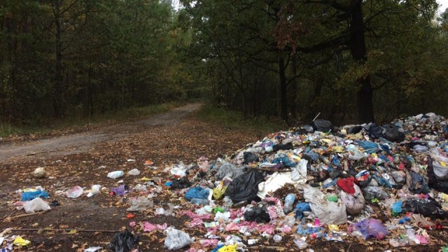 Львовский мусор свезли на стихийную свалку на Волыни