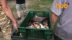 Госрыбагентство запретило нерестовый вылов рыбы