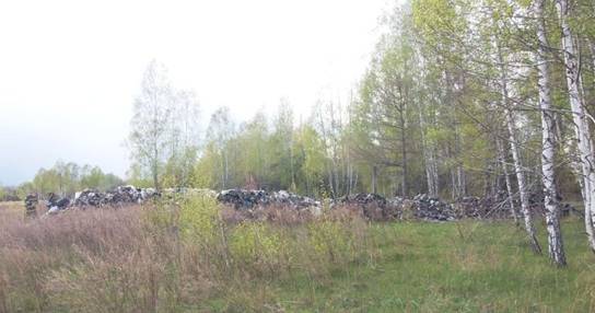 Львовский мусор начали тайно свозить в Чернобыль
