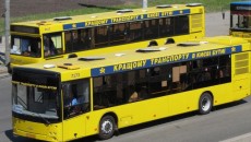 Киев закупит 100 белорусских автобусов за 530 млн грн