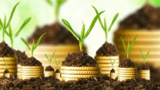 Капитальные инвестиции: агроотрасль в 2 раза быстрее наращивает вложения, чем вся экономика страны (рейтинги)