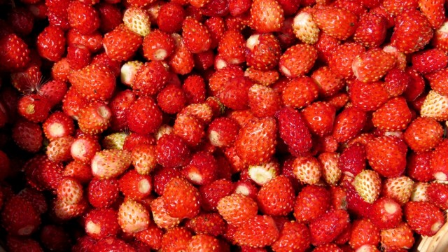 Доля Украины в производстве мягких ягод в Восточной Европе составляет 25%