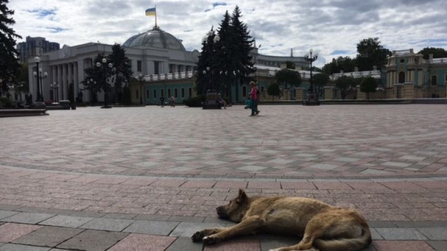 Комитет ВРУ отклонил обращение ГПУ по Полякову