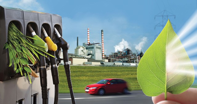 Нидерланды усилят сотрудничество с Украиной в биоэнергетическом секторе