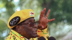 Мугабе отдаст власть в Зимбабве в обмен на неприкосновенность