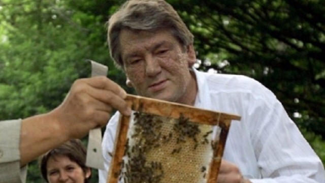 В Украине насчитали 400 тыс. пчеловодов