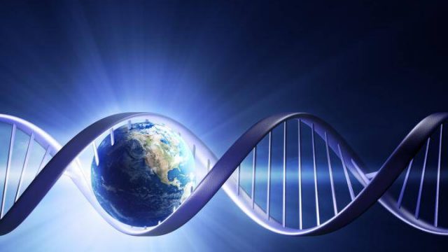 Ученые сохранят ДНК 66 тысяч видов позвоночных