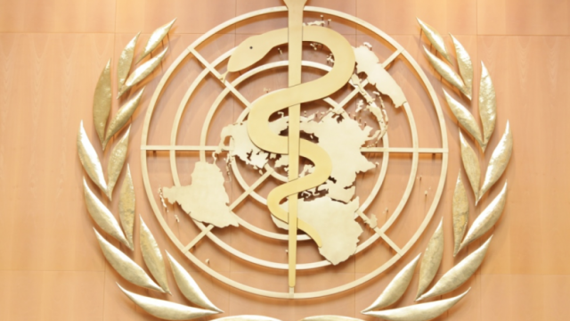 Во Всемирной организации здравоохранения похвалили Украину