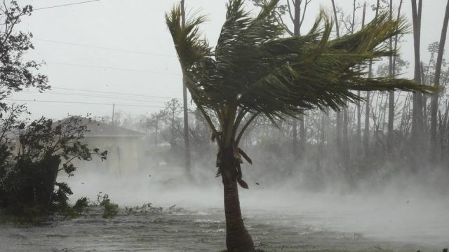 Число жертв урагана 