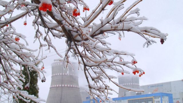 Энергоблок №1 Ривненской АЭС отключен от энергосети