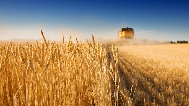 Аграриям за покупку сельхозтехники компенсируют еще 563 миллиона