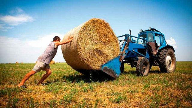 Семейным фермерским хозяйствам выплатили около 400 тыс грн компенсаций