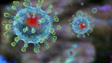 Украина обеспечена коронавирус-тестами на 10 дней
