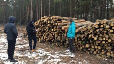 В Украине усилили ответственность за лесные пожары