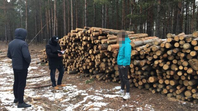 В Гослесагентстве и лесничествах Житомирской области проходят обыски