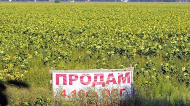 Рада приняла закон об открытии рынка земли в Украине