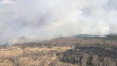 Правоохранители задержали виновников пожаров на Житомирщине