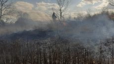 Україна у вогні: чому збільшення штрафів за підпали нічого не змінить