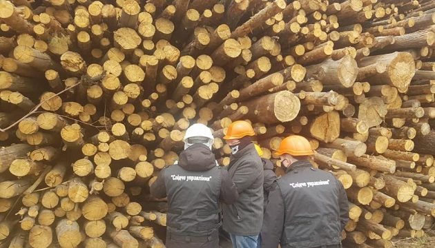 Под Киевом ТЭС сжигала радиоактивную древесину