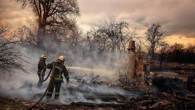 Пострадавшим от пожаров на Житомирщине выплатят компенсации