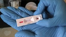 В Киеве подделывали результаты ПЦР-тестов на коронавирус