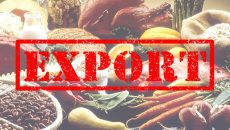 Украина нарастила экспорт агропродовольственной продукции