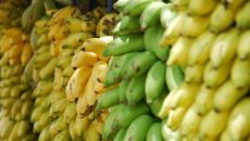 Банан стал в Украине самым доступным фруктом - ИССЛЕДОВАНИЕ