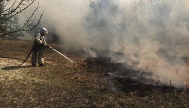 Житомирщина подсчитала убытки от лесных пожаров весной