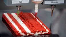 Израильский стартап разрабатывает 3D-принтеры для искусственного мяса