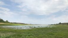 Два крымских водохранилища оказались на грани исчезновения