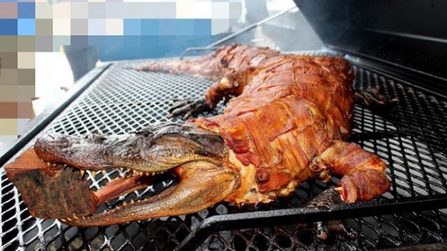 В украинских магазинах может появиться мясо крокодила