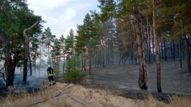 Пожары на Луганщине: руководство управления ГСЧС подозревают в халатности